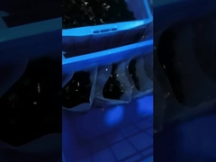 1000Pcs PEケーブルのタイの付属品は1/2プラスチックRのタイプ クリップ クランプをじりじり動かす